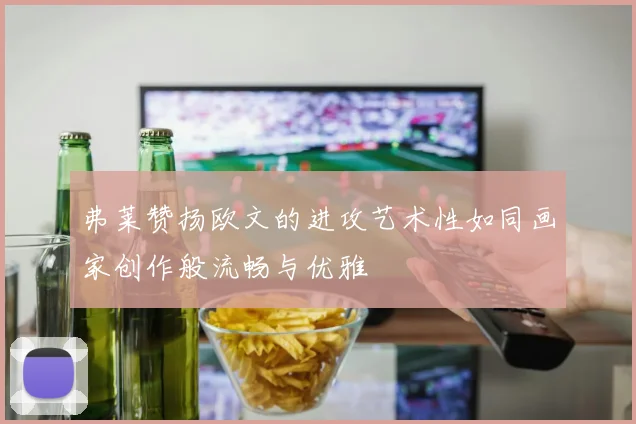 弗莱赞扬欧文的进攻艺术性如同画家创作般流畅与优雅