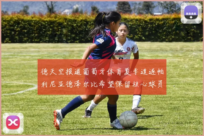德天空报道葡萄牙体育夏季追逐帕利尼亚德泽尔比希望保留核心球员