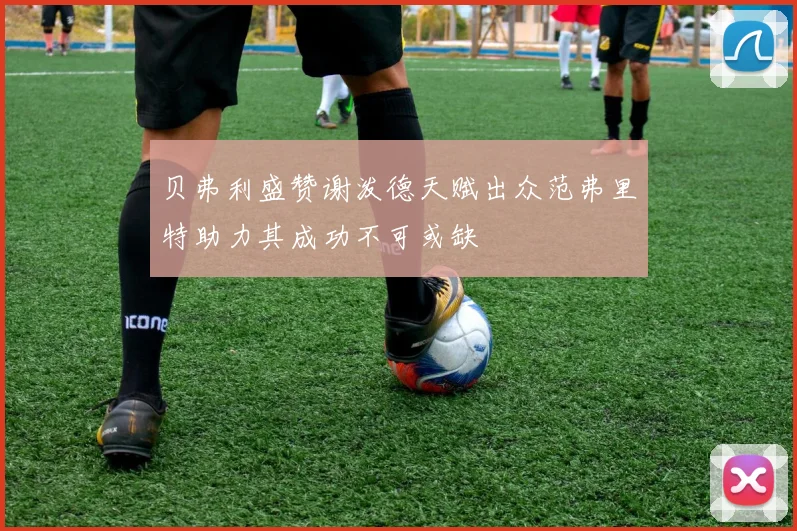 贝弗利盛赞谢泼德天赋出众范弗里特助力其成功不可或缺